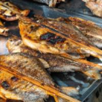 Grilled fish credit PsamatheM