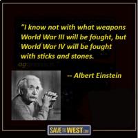 Albert Einstein on World Wars